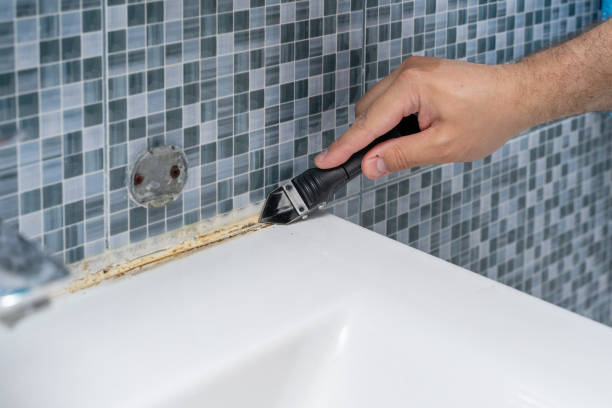 Best Black Mold Remediation in Flatwoods, KY